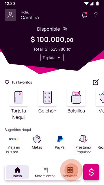 Pantalla que describe el paso 2 con opción Servicios