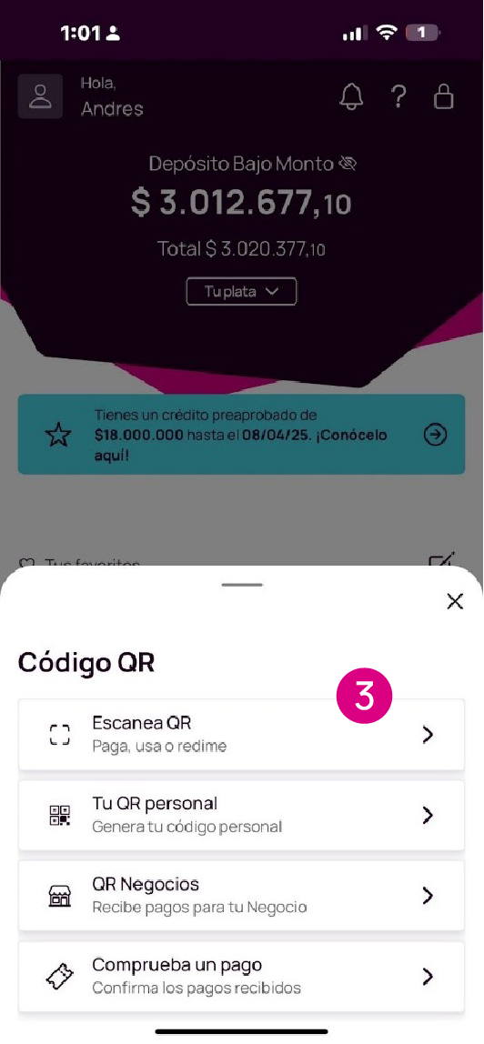Pantalla con opción Escanea QR