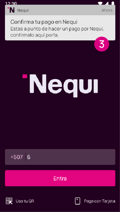 Pantalla de Notificación de botón Nequi para pagos.