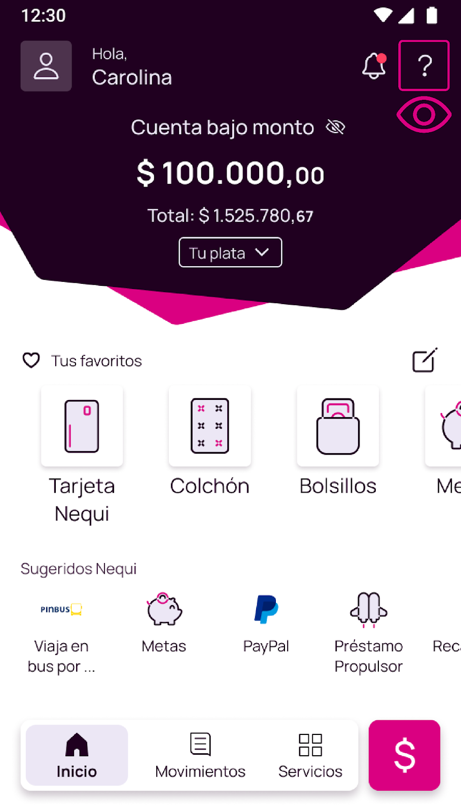 Inicio de la app cuando se inicia sesión