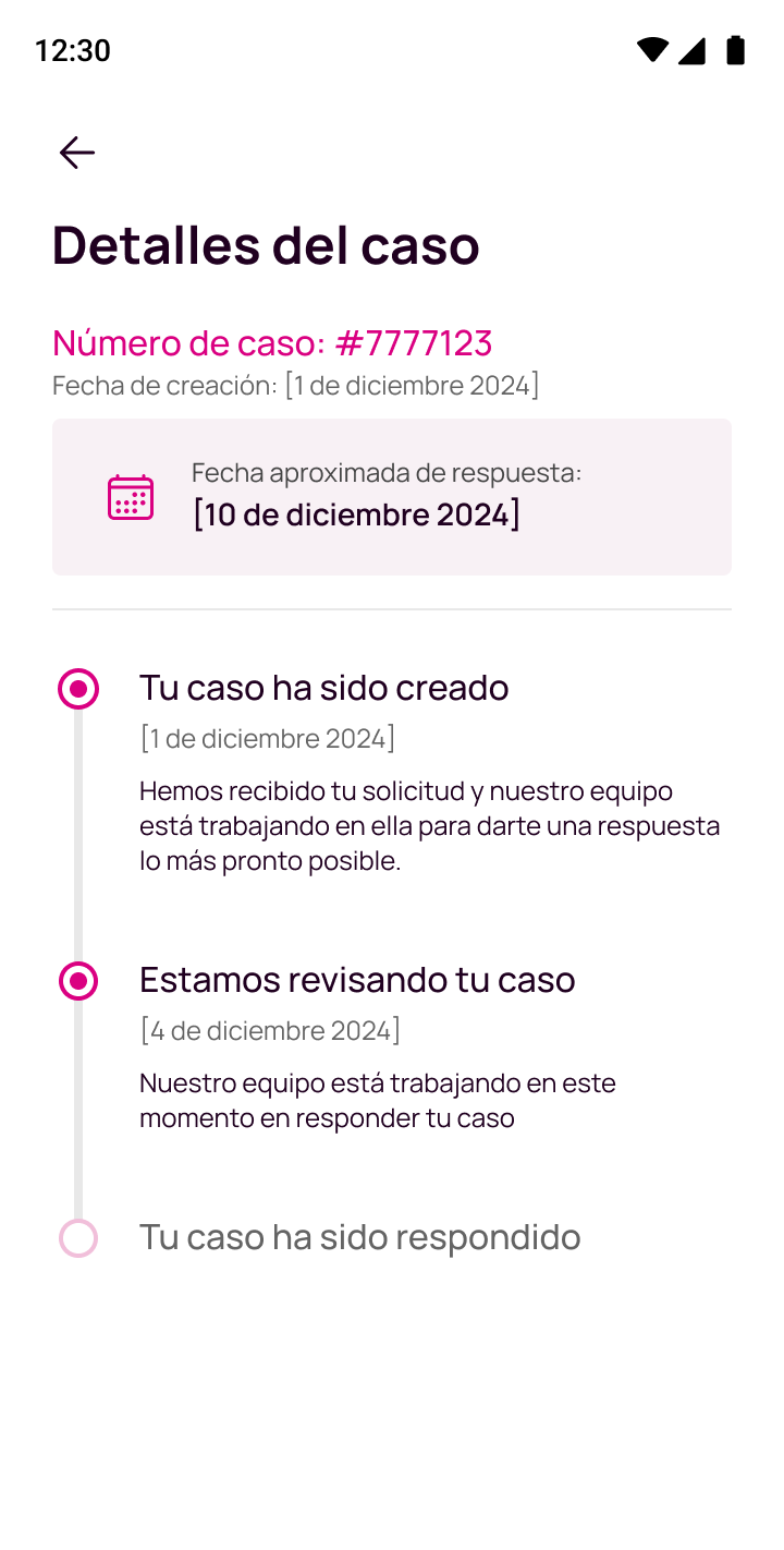Pantalla caso en revisión