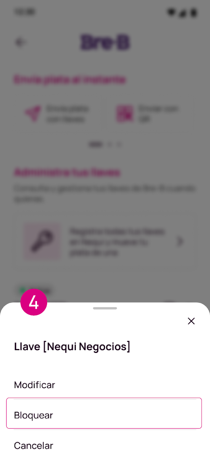 Elije la llave que deseas bloquear