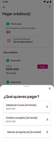Qué quieres pagar