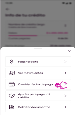 cambiar fecha de pago.png