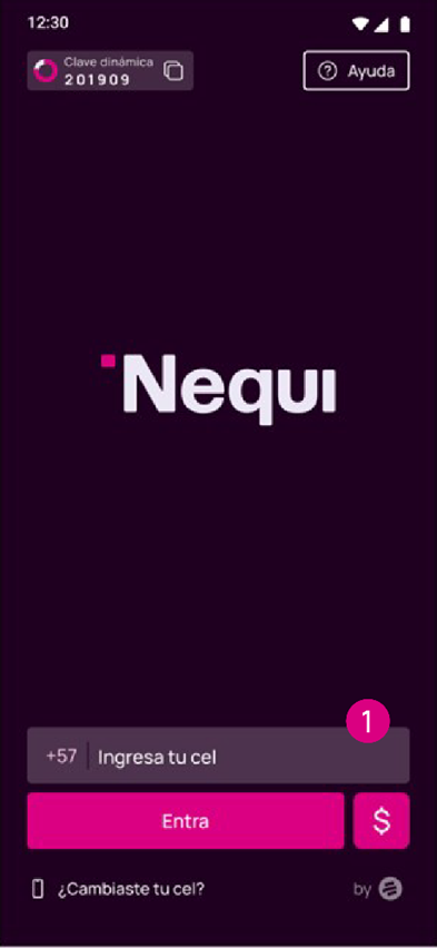 Ingreso a la App.png