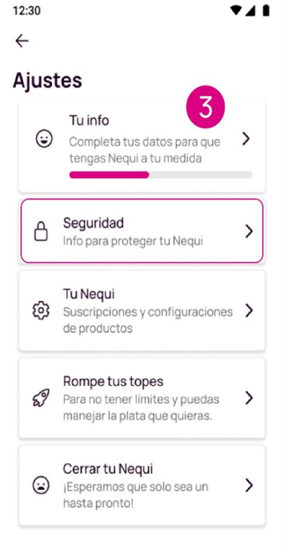 Seguridad.png