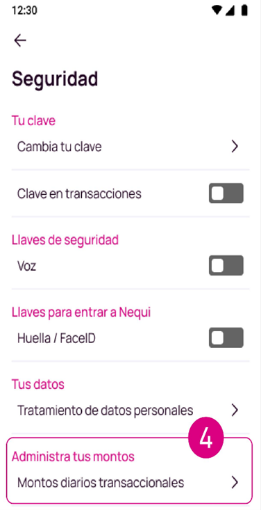 Administrar los montos.png