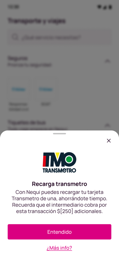 Inicio sección transmetro.png