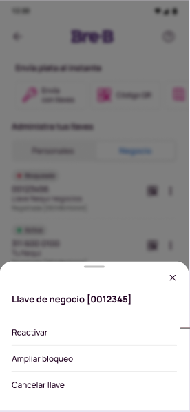 Pantalla gestionar llave de negocio bloqueada.png