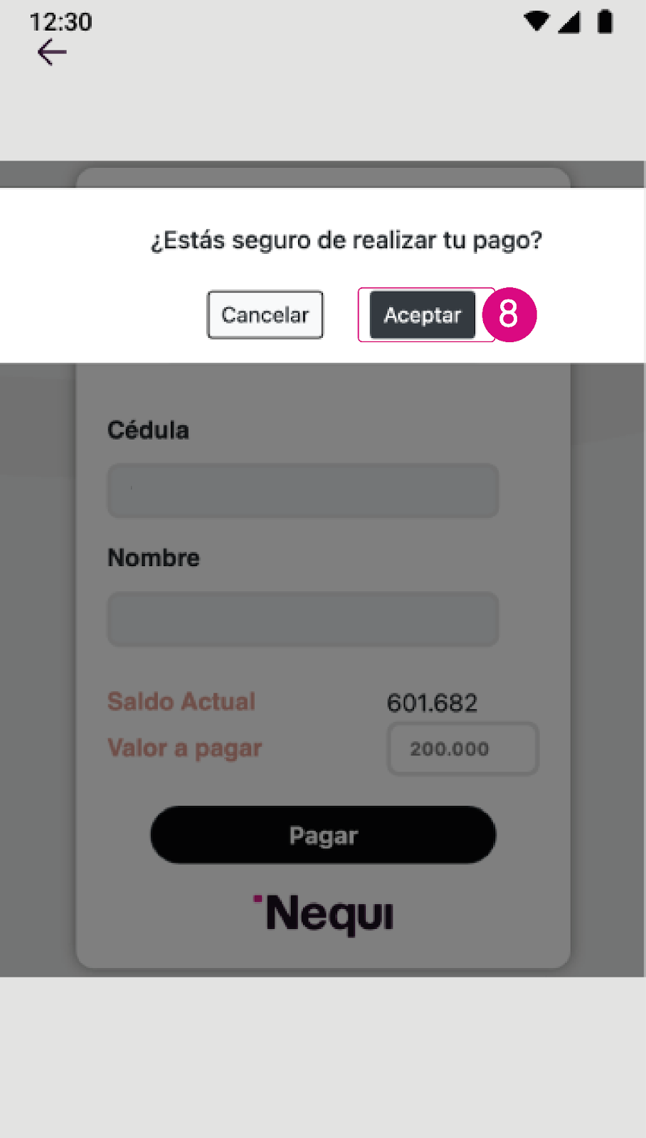 Estás seguro de realizar tu pago en la app Nequi